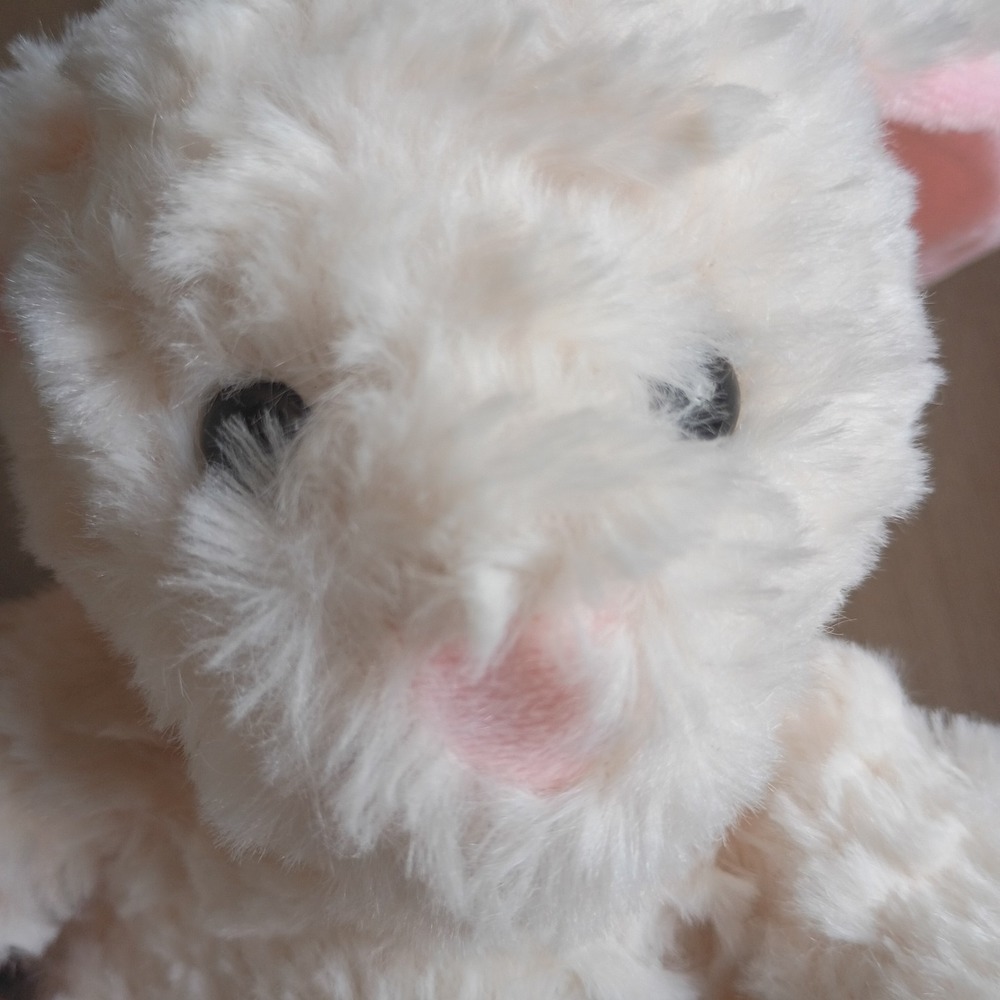 Stuffed Soft Fluffy Spring White Bunny Plushie Great Baby Shower Gift 5" EUC - Picture 4 of 4